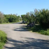 camping-village-le-esperidi-marina-di-bibbona-vtaaq