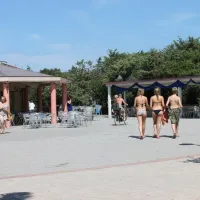 camping-village-le-esperidi-marina-di-bibbona-wofcs
