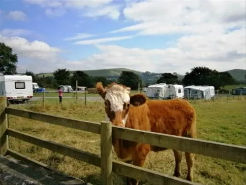 upper-hurst-farm-hartington-8ru6n