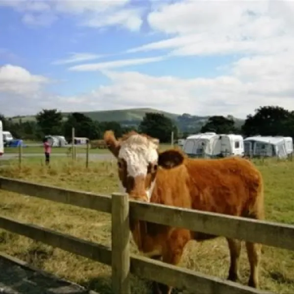 upper-hurst-farm-hartington-8ru6n