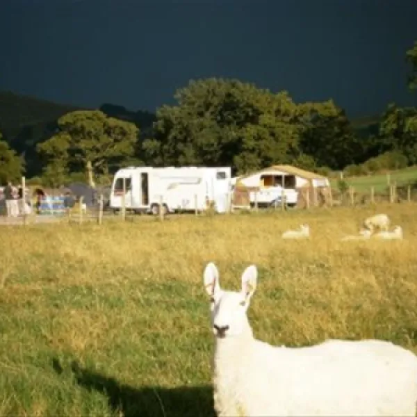 upper-hurst-farm-hartington-ursnv