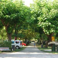 campeggio-serenissima-oriago-venezia-kj0ba