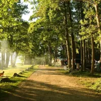 naturcamping-zwei-seen-zislow-v04fe