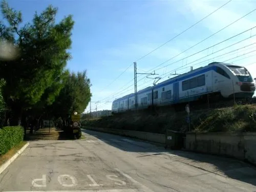 campeggio-led-zeppelin-cupra-marittima-wsbrv