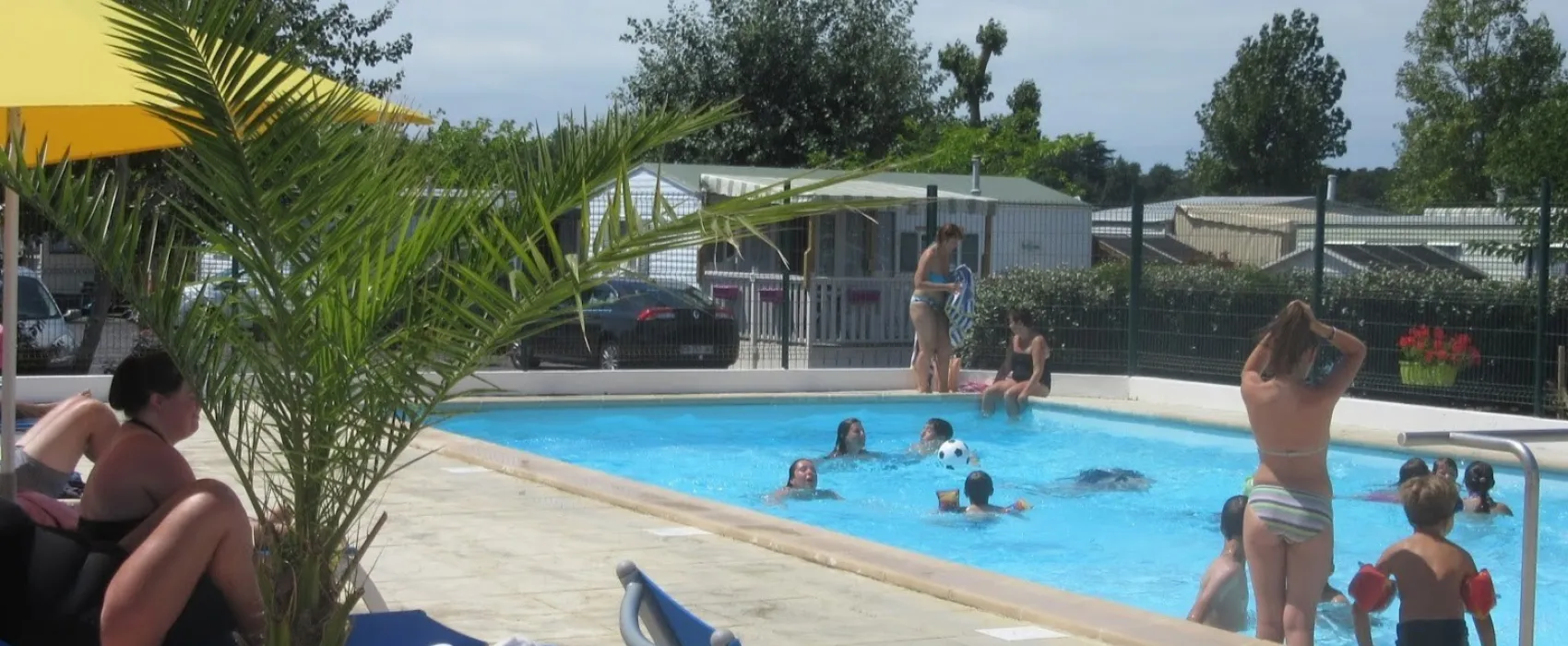 Les Dauphins Bleus  