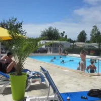 Les Dauphins Bleus  