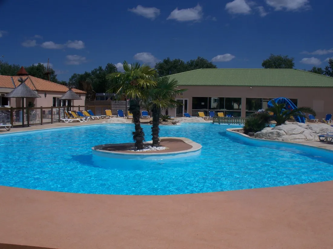 les-dauphins-bleus-st-gilles-croix-de-vie-j8lur