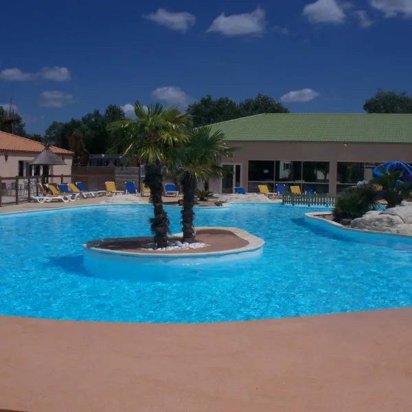 les-dauphins-bleus-st-gilles-croix-de-vie-j8lur