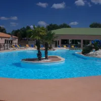 les-dauphins-bleus-st-gilles-croix-de-vie-j8lur