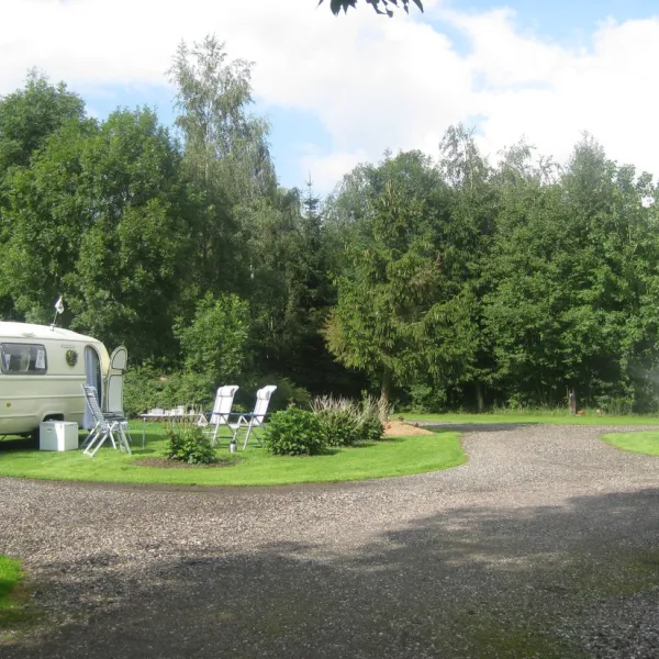 natuurkampeerterrein-de-hoeve-westerlee-gn-mpg1v