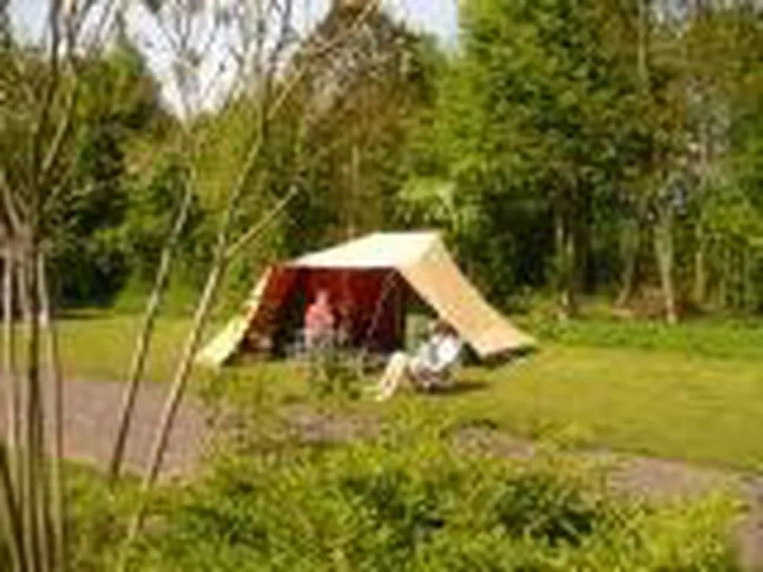 natuurkampeerterrein-de-hoeve-westerlee-gn-sb7no