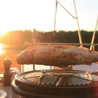 freecamper-bootsurlaub-im-eigenen-campingmobil-vipperow-yb3t2