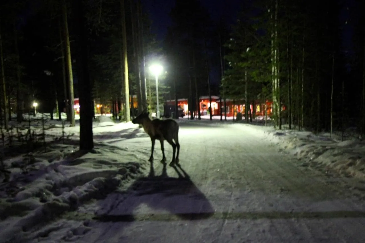 camping-ukonjrvi-ivalo-lqvug