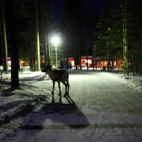 camping-ukonjrvi-ivalo-lqvug