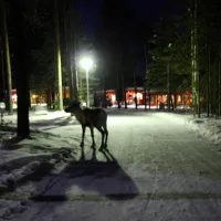 camping-ukonjrvi-ivalo-lqvug
