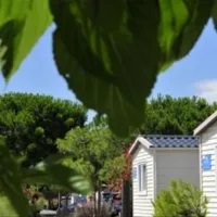 camping-mar-estang-canet-en-roussillon-anj2u