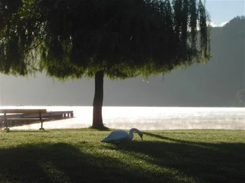 campingbad-ossiachersee-gmbh-annenheim-vssgj