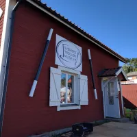 First Camp Kolmården