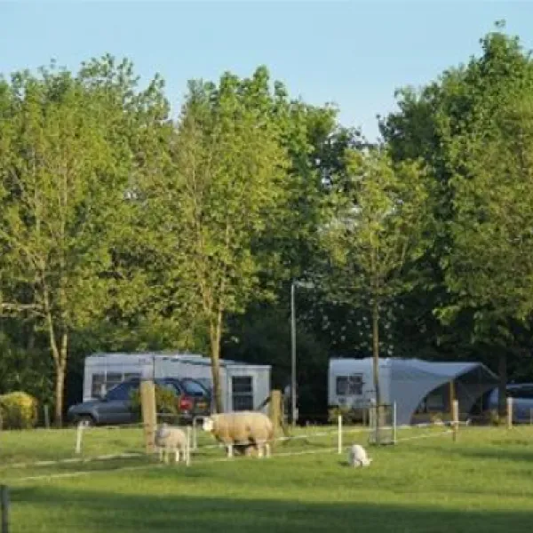 camping-de-veldmeijer-weerselo-9r5i1