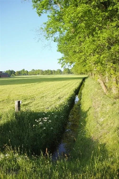 camping-de-veldmeijer-weerselo-dvdmw