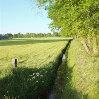 camping-de-veldmeijer-weerselo-dvdmw