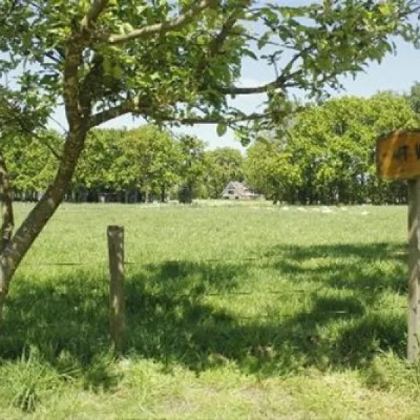 camping-de-veldmeijer-weerselo-limxp