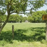 camping-de-veldmeijer-weerselo-limxp