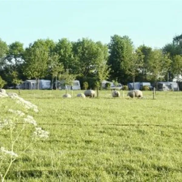 camping-de-veldmeijer-weerselo-nb3o8