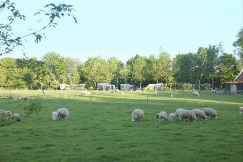 camping-de-veldmeijer-weerselo-sd4c6