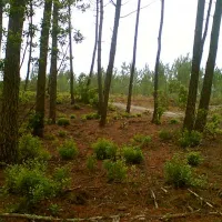 camping-le-truc-vert-lge-cap-ferret-lo8k0