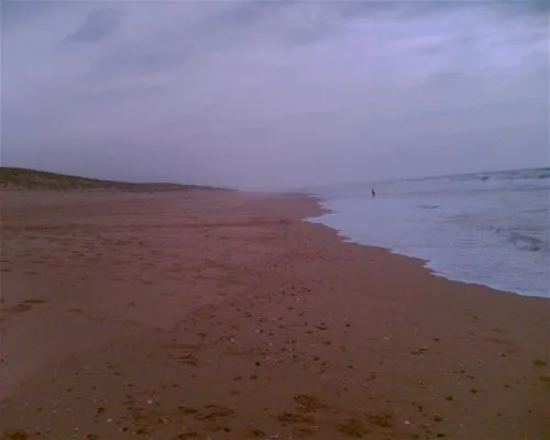 camping-le-truc-vert-lge-cap-ferret-qusyf