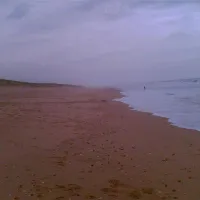 camping-le-truc-vert-lge-cap-ferret-qusyf