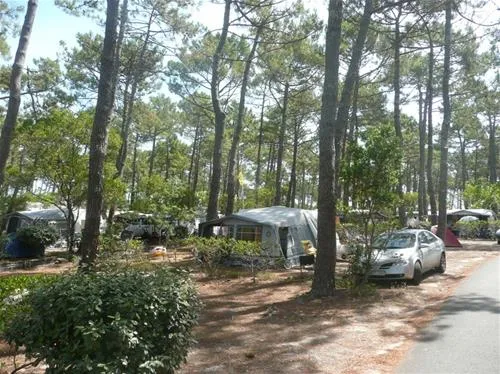 camping-le-truc-vert-lge-cap-ferret-rcsbk