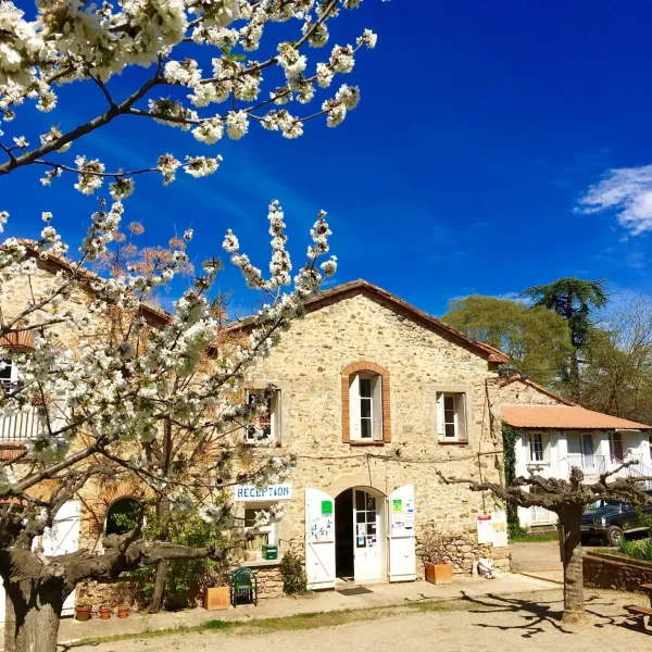 camping-les-pommiers-reynes-tpxin
