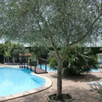 camping-atlantica--saint-jean-de-luz-wylfj