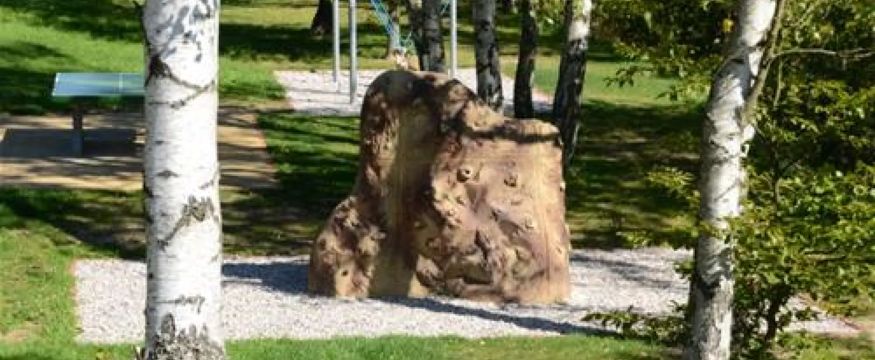 Camp Varry