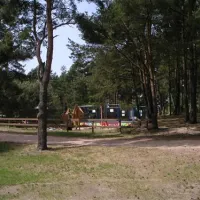 camping-und-ferienpark-havelberge-gro-quassow-rttyx
