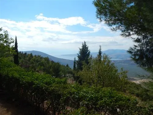 campsite-apollon-delphi-ox7x8