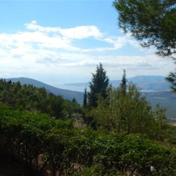 campsite-apollon-delphi-ox7x8
