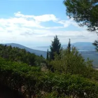 campsite-apollon-delphi-ox7x8