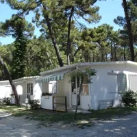 camping-villaggio-del-sole-marina-romea-bei-ravenna-thnrk