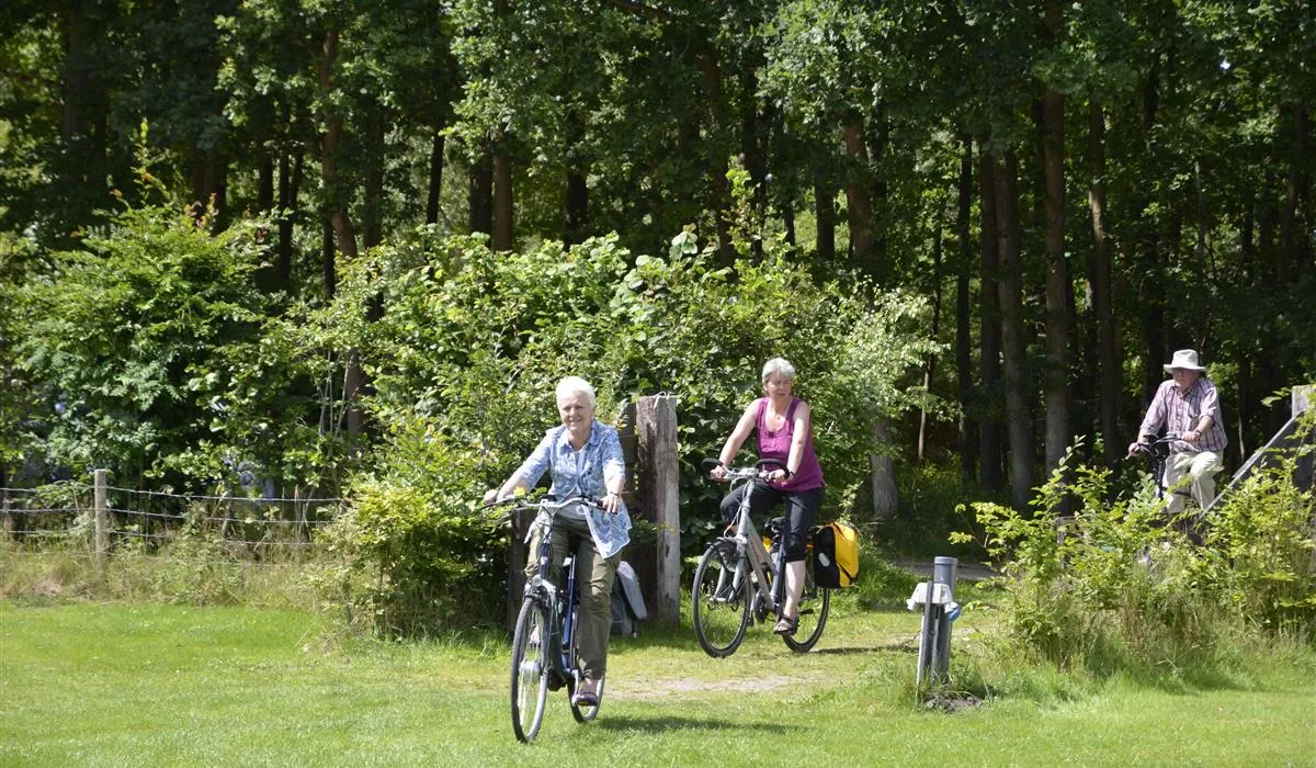 camping-de-uelenspieghel-uffelte-1yzu9