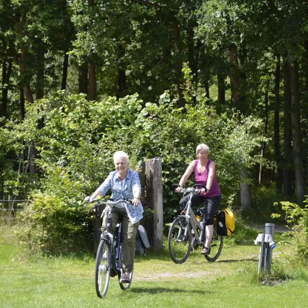 camping-de-uelenspieghel-uffelte-1yzu9