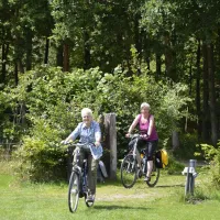 camping-de-uelenspieghel-uffelte-1yzu9