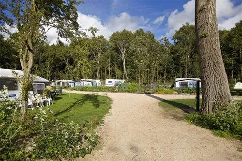 kennemer-duincamping-geversduin-castricum-6r3fk