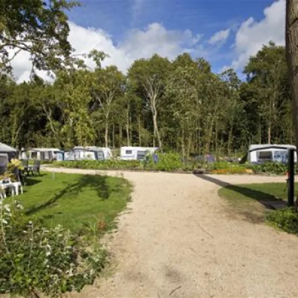 kennemer-duincamping-geversduin-castricum-6r3fk