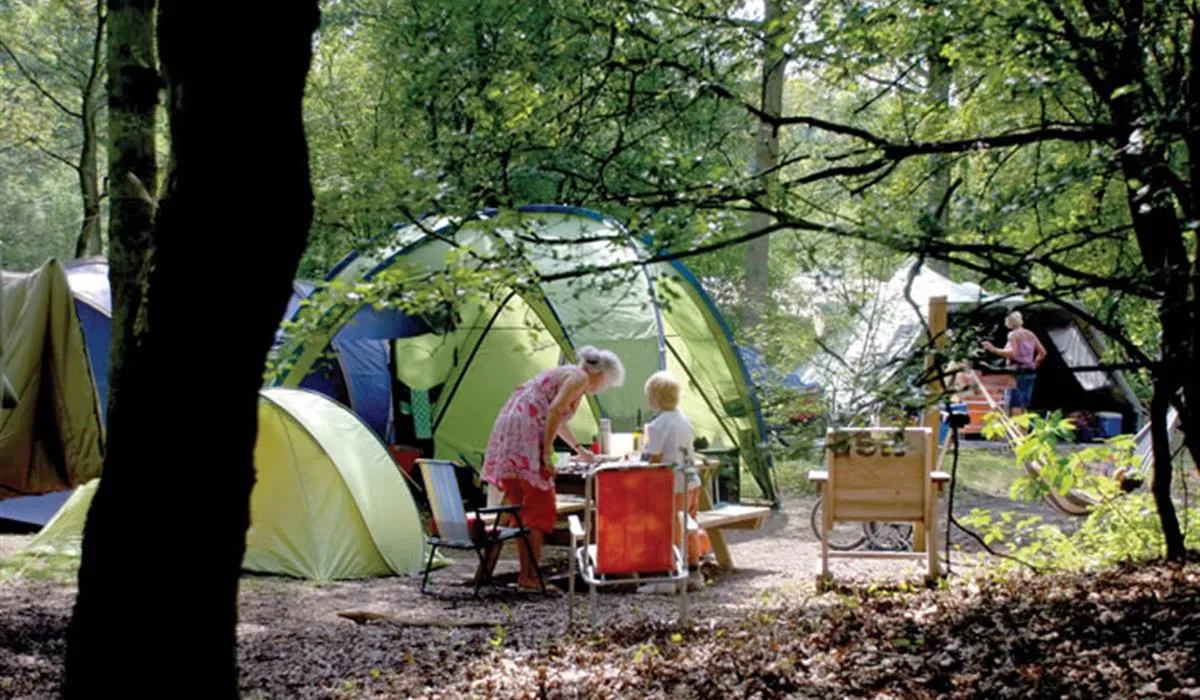 kennemer-duincamping-geversduin-castricum-m7qjo