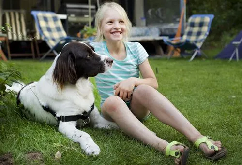 kennemer-duincamping-geversduin-castricum-qj2zi