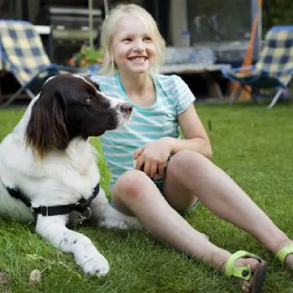 kennemer-duincamping-geversduin-castricum-qj2zi