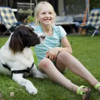 kennemer-duincamping-geversduin-castricum-qj2zi
